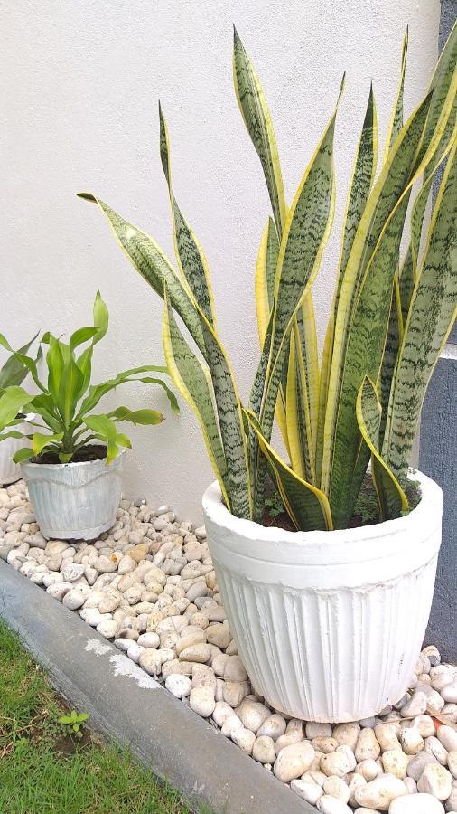 Ub Home Dauis Ngoại thất bức ảnh