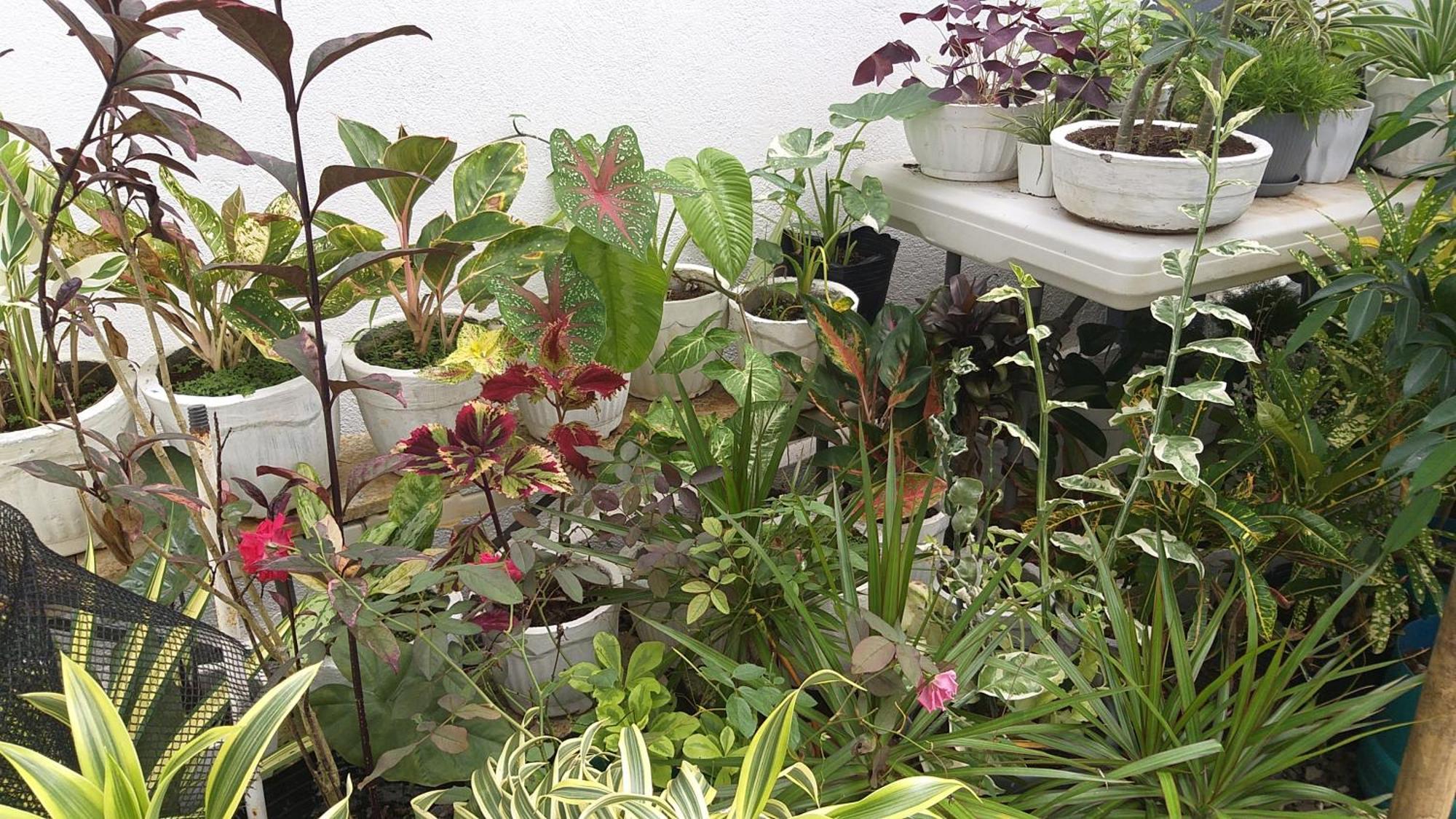 Ub Home Dauis Ngoại thất bức ảnh